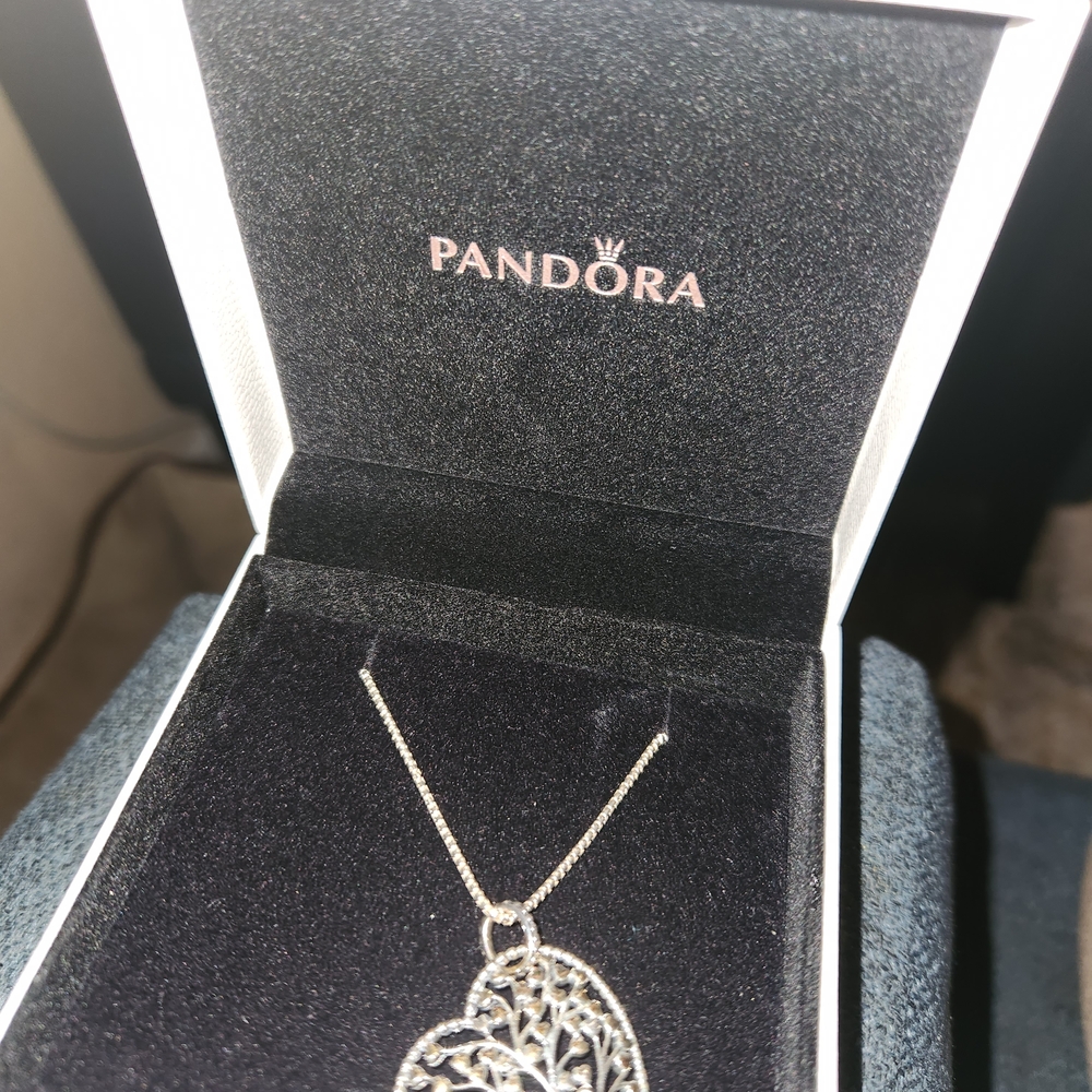 Pandora Silver Heart Necklace